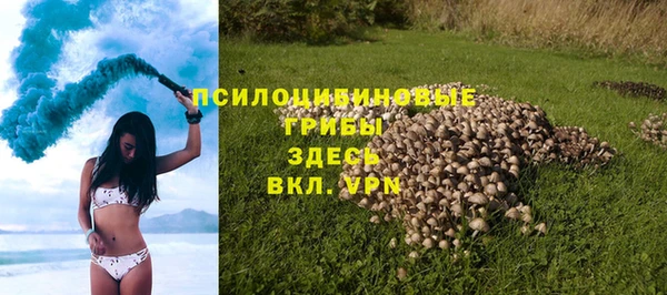 прущие крисы Балахна